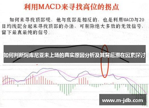 如何判断阿库尼亚未上场的真实原因分析及其背后潜在因素探讨 如何判断阿库尼亚未上场的真实原因分析及其背后潜在因素探讨